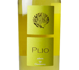 Salento Chardonnay Plio IGP 2021, Sampietrana