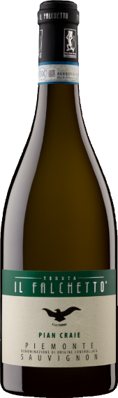 Sauvignon Blanc Pian Craie DOC 2022, Il Falchetto