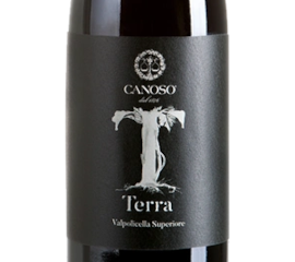 Valpolicella Superiore Terra DOC 2019, Canoso