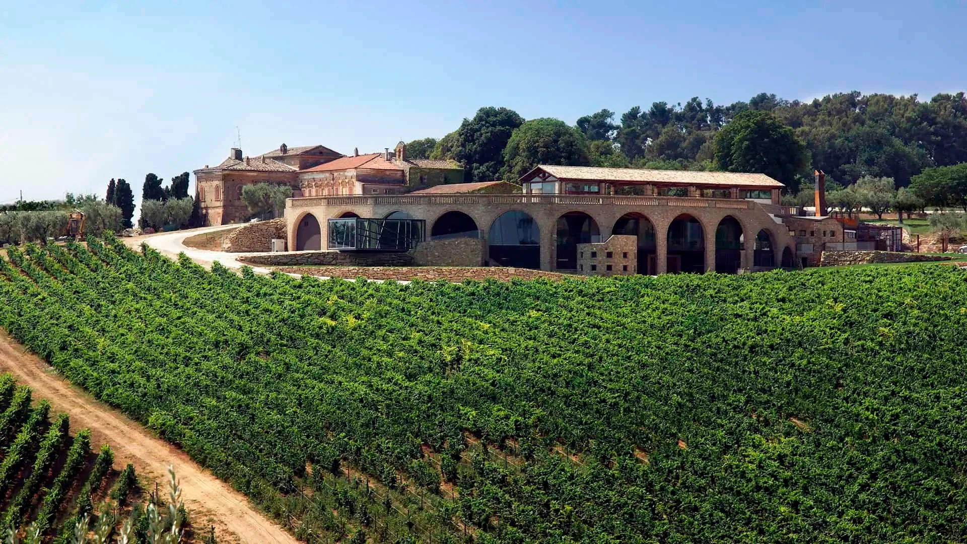 Nyhedsbrev om producenten Di Sipio