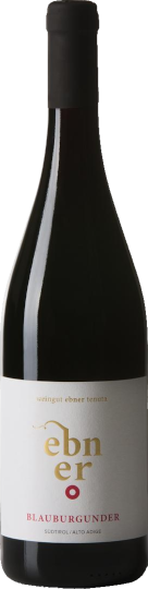Blauburgunder  DOC 2022, Weingut Ebner